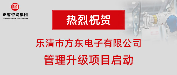 乐清市方东电子有限公司管理升级项目启动