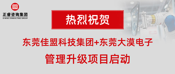 东莞市佳盟科技+东莞市大漠电子管理升级项目启动