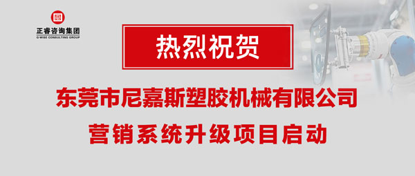 东莞市尼嘉斯塑胶机械有限公司营销系统升级项目启动