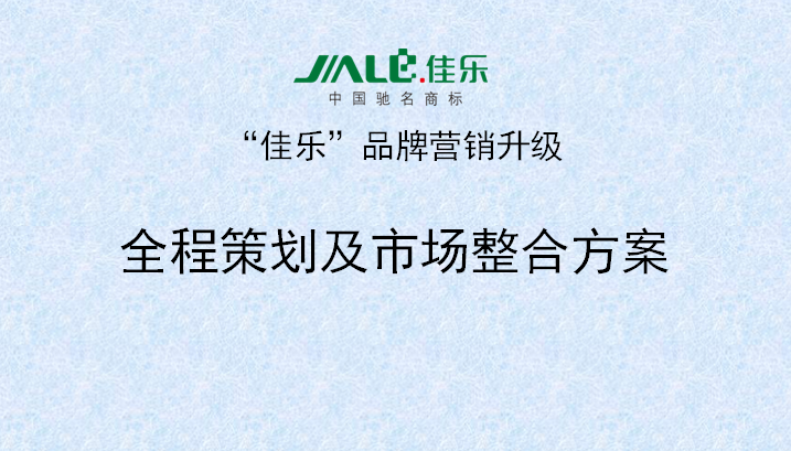 2013年3月18日万向注册专家老师向佳乐项目董事长陈述调研报告