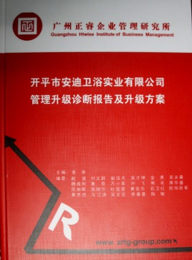 《开平市安迪卫浴实业有限公司管理升级诊断报告及升级方案》