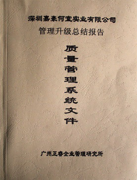 深圳市嘉豪何室实业有限公司管理升级总结报告