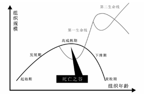 组织的生命周期曲线